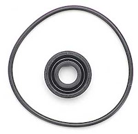 MP-4601-SK Fuel Pump Seal Kit for 4601