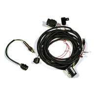 BS4-005-023 Secondary NTK Wideband O2 Upgrade, Left Bank, for Methanol, w/o Sensor or Harness