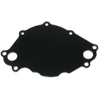 Back Plate Only Small Block Ford 289/302/351W & 5.0L