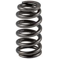 466664 High Performance Valve Spring 3.5L Ford DOHC
