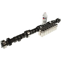 CL-SPD-31 Stock Replacement Camshaft Lifter Kit
