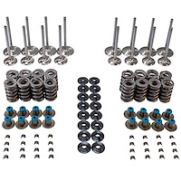 MVK105 Valve & Spring Kit for GM LS Engines
