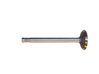V1552 Exhaust Valve