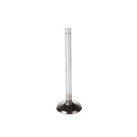 V1559 Stock Replacement Intake Valve