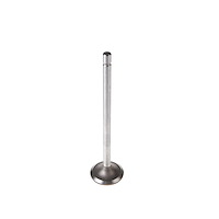 V5266 Stock Replacement Intake Valve