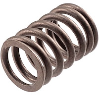 VS-1110 Stock Replacement Valve Spring
