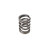 VS-890 SPRING-ENGINE VALVE