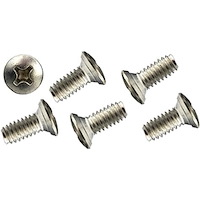 B12527 1947-81 GM, Door Latch Mechanism Screw Kit, 1/4-20 X 5/8" Phillips Oval Head, Stainless Steel, 6 Piece Set