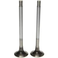 Exhaust Valve for Cummins NT-855 14.0L