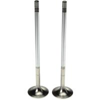 Intake Valve