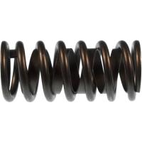 Valve Springs for Cummins C Series