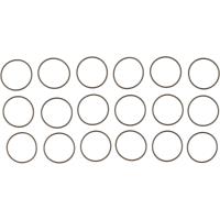 Fuel Injection Nozzle O-Ring Set