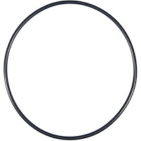 Water Pump O-Ring Chry Dod-Pass&Trk Eagle Ply-Pass&Trk 201 3.3L