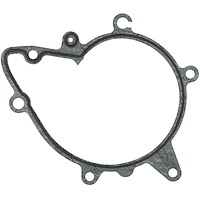Water Pump Gasket BMW 3.0L 4.0L 4.4L 4.6L DOHC 32V 1994-2003