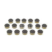 Valve Stem Seal Set