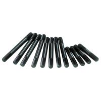 MAIN STUDS OLDS 307-403
