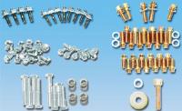 External Engine Bolt Kit Ford 302