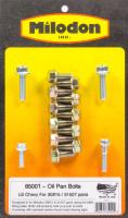 Oil Pan Bolts LS-Series