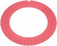 Caster/Camber Shim Rear