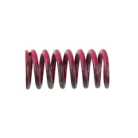 DIFFERENTIAL REBUILD KIT