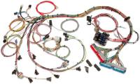 EFI Wiring Harness 1998-2004 GM LS1/LS6