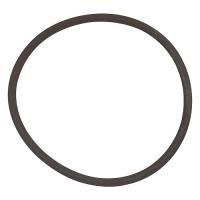 Q/QR Series Blow-Off Valve V-Band Flange O-Ring 1/pkg.