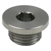Wastegate Port Plug Fits MVR/MVS Wastegates