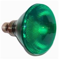 Green Flood Lamp