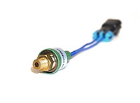 C11609 Pressure Switch Assembly