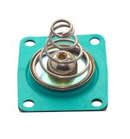 Bypass Pressure Regulator Diaphragm Kit GFLT Corrosion-Resistant Material