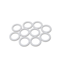 PTFE Washers -10 AN