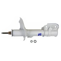RS5000X Strut