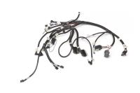 MEFI 3 ECU Wire Harness, Ram Jet 350