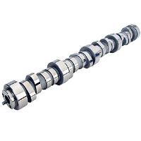 Hydraulic Roller LS Hot Cam