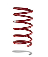 PED-2142L Coil Spring, Front Left, Pontiac GTO V8 2004-2006