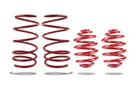PED-804010 Spring Kit, Pontiac GTO Fe2