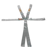 Platinum Series Harness 5-6 Point Wraparound/Bolt-In