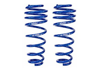 Rear Performance Coil Springs 2005-14 Mustang GT