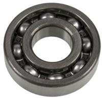 Manual Trans Gear Bearing