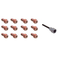 Header Bolt Set 3/8"-16 x 3/4"