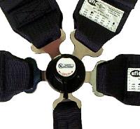 5-Way harness Camlock style