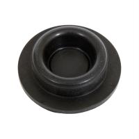 DIAPHRAGM