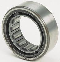 Pinion Tail Bearing
