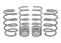 WSK-FRD009 Performance Lowering Springs for 2012-2018 Ford Focus ST