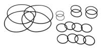 Service O-Ring Kit for Nostalgia Bertha Fuel Pump