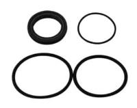 Service Rear Seal & O-Rings for Lil Bertha & Nostalgia Bertha Fuel Pumps