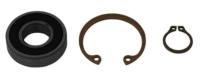 Service Rear Bearing Kit for Lil Bertha & Nostalgia Bertha Fuel Pumps