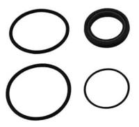 Service Rear Seal & EPDM O-Ring Kit for Lil Bertha & Nostalgia Bertha Fuel Pumps