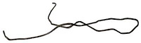 GLL408 1969 Chevrolet Full-Size Long Gas Lines (Pump-To-Tank)