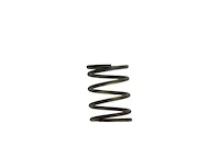 Wastegate Spring 5 psi (Brown/Gray Inner Spring)
